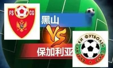 国内成人精品视频