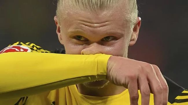 一区二区在线欧美日韩中文