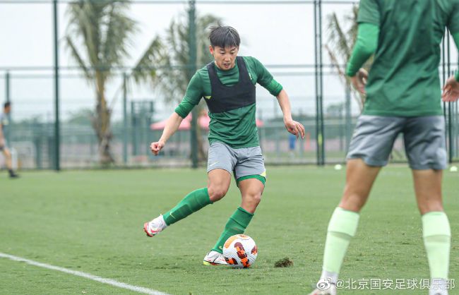 麻豆视频成人