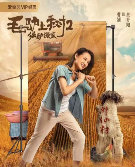 妻子的往事