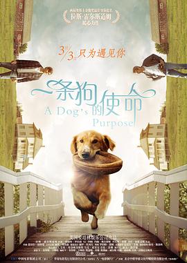俺来也电影