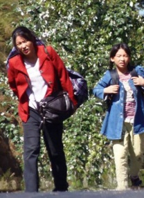 国产欧美在线观看