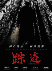 手机在线播放视频