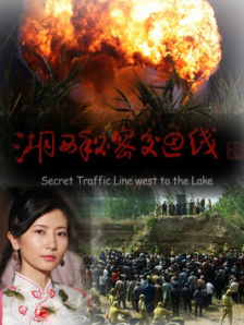 成人在线二区